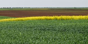 Growzyme, Agriculture, plant products, raw materials, raw materials, industrial, industrial factory, products for agriculture, pesticides, plant protection products, agricultural products, manufactures of agricultural products, a manufacturer of products for crops
